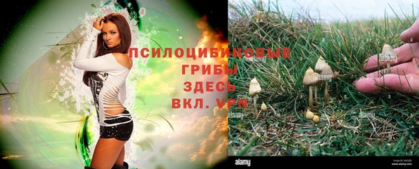 МДМА Абаза