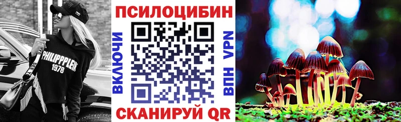 Псилоцибиновые грибы Cubensis  Рязань 